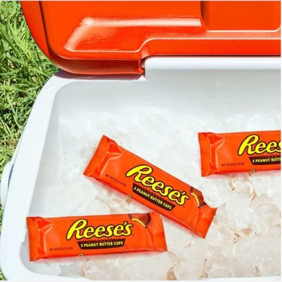 Reeses Peanut Butter Cups 51G