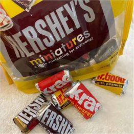 Hersheys Miniatures Imported 294G